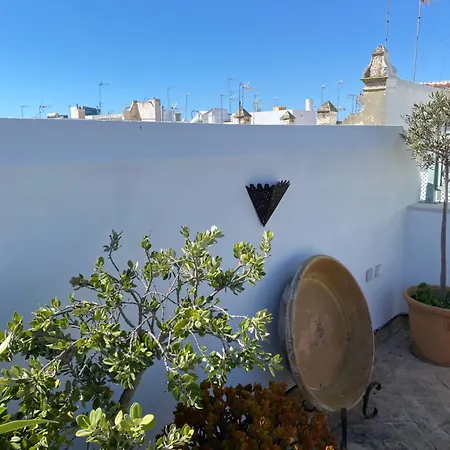 别墅 Casa Palacio Marias - Private House In Old Town